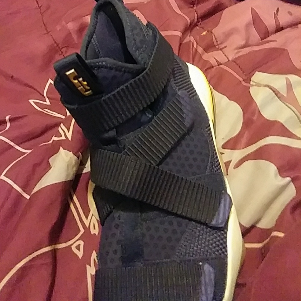 Brand new LeBron James tennis shoe worn once